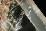 Stunning, Glassy Selenite Crystal - Naica Mine, Mexico #372137-5